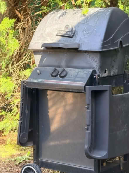 Photo of free Streaking Bbq (Erindale park) #1