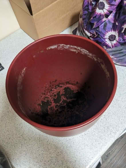 Photo of free 21cm ceramic plant pot (Harrogate HG1) #2