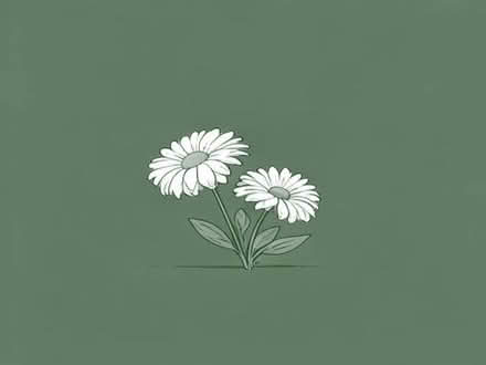 Photo of free Shasta daisies (Tilehurst RG31) #1