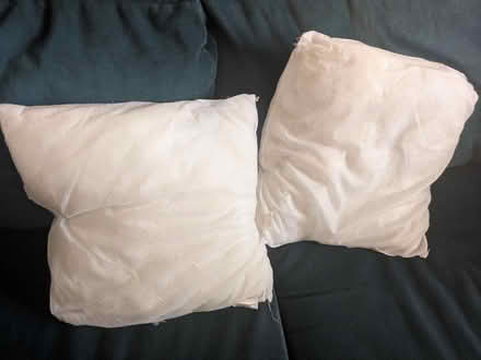Photo of free Cushion insert x2 (Wolverhampton WV10 6) #1