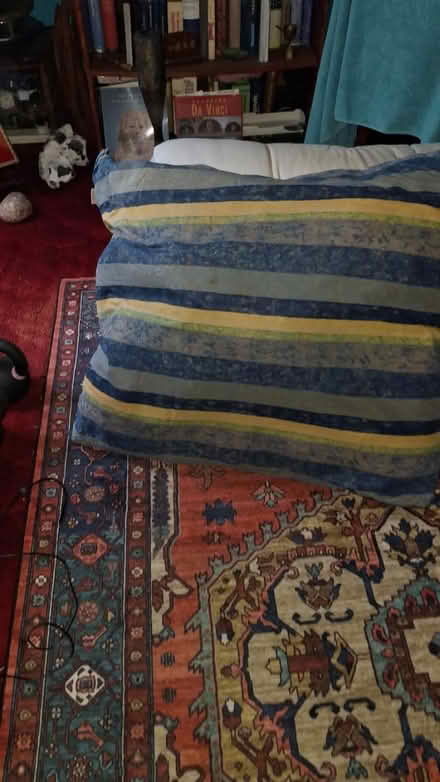 Photo of free Floor Cushion (Brighton, BN2) #2