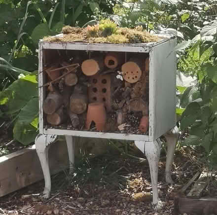 Photo of Old cabinet to make into a bug hotel (Bewdley DY12) #1