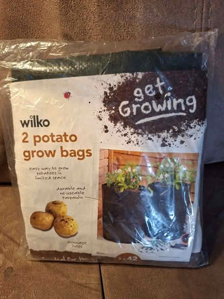 Photo of free Two Potato grow bags (Walderslade ME5) #1