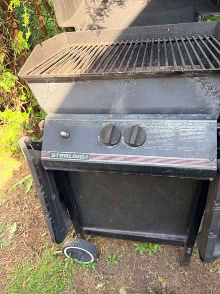 Photo of free Streaking Bbq (Erindale park) #3