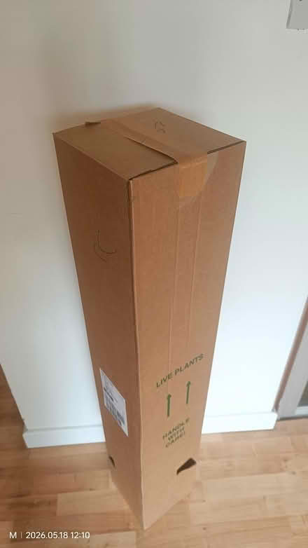 Photo of free Tall cardboard box (Tilehurst, Reading RG31) #2