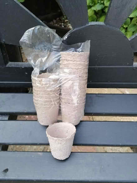 Photo of free Biodegradable plant pots (Langney BN23) #1