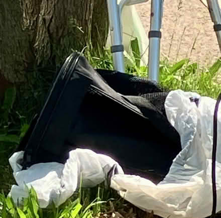 Photo of free Animal carrier (Teaneck) #1