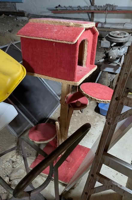 Photo of free Cat Scratch Tower (Glebe / Dow's Lake) #1