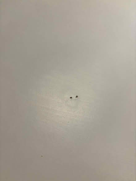 Photo of free Dining Table and Chairs (SW11 3) #3
