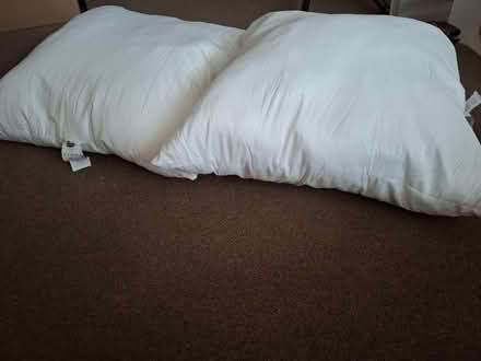 Photo of free Two large pillows (Havant PO9) #1