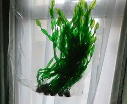 Photo of free Artificial Aquarium Plant. New, Unused (Grays RM17) #1