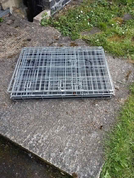 Photo of free Dog crate (Sidley TN40) #2