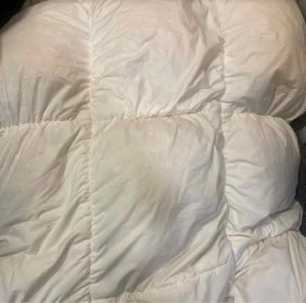 Photo of free Single duvet (Radford NG7) #1