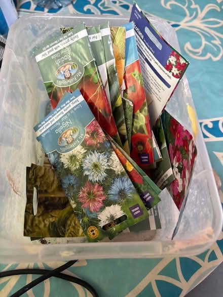Photo of free Vegetable and flower seeds (BN2) #1