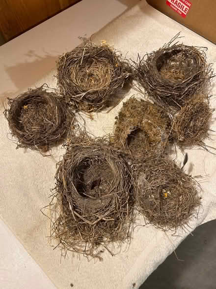 Photo of free Bird nests (Ashby) #1