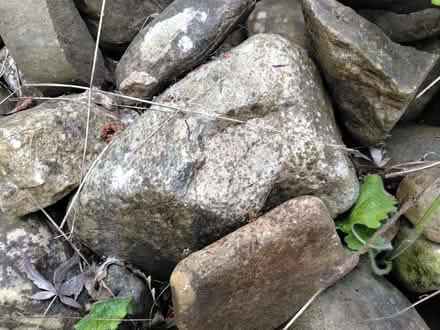Photo of free Quantity of garden stone (Mold CH7) #1