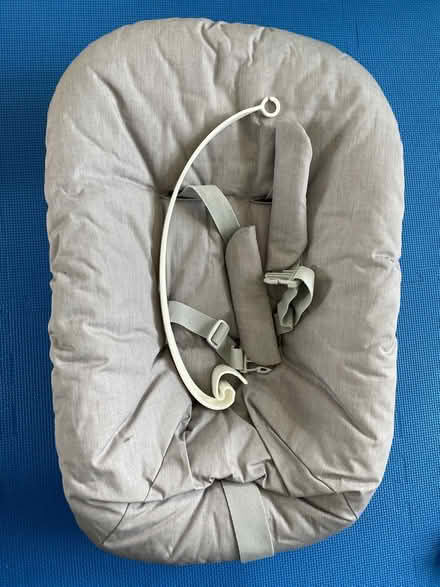 Photo of free Newborn seat adapter for high chair (Hackney Downs E5) #1