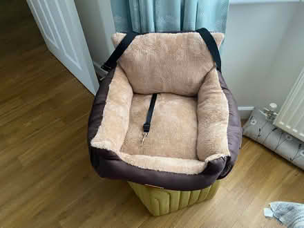 Photo of free Dog bed (Kingsbrook HP22) #1