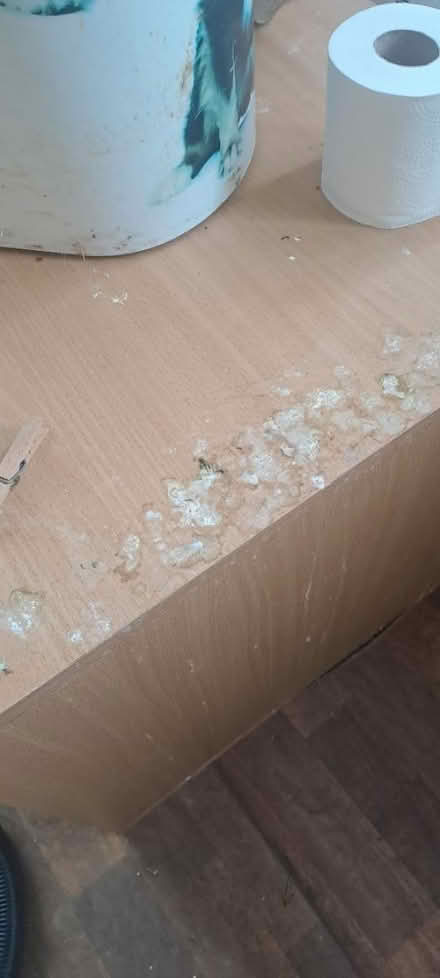 Photo of free Large Vivarium (Churchdown GL3) #4