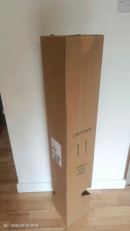 Photo of free Tall cardboard box (Tilehurst, Reading RG31) #1