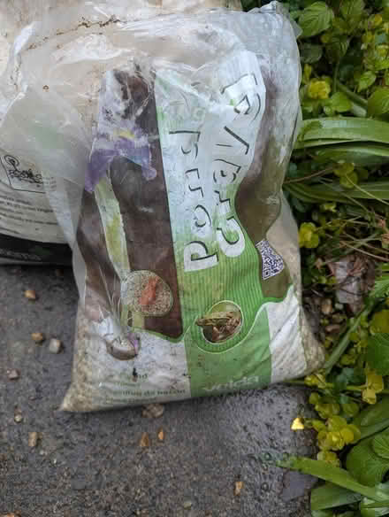 Photo of free Pond gravel (BS7) #1