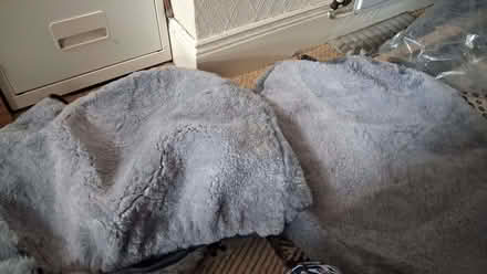 Photo of free Grey furry Car seat cover (2 piece) (Ballymaconaghy BT6) #1