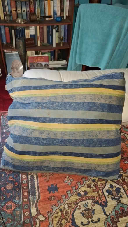 Photo of free Floor Cushion (Brighton, BN2) #1