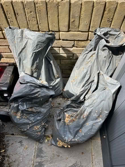 Photo of free Soil from flower bed (Ravenscourt Park W6) #1