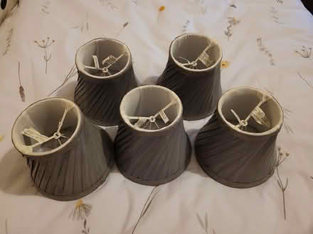 Photo of free Small lamp shades (Bedlington NE22) #1