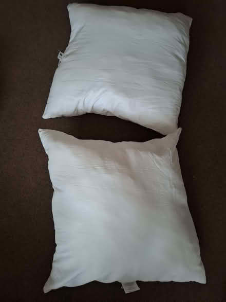Photo of free Two large pillows (Havant PO9) #2