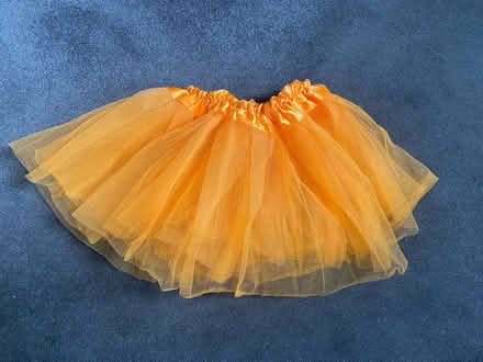 Photo of free Witch & elf dress up items (Cogges OX28) #2