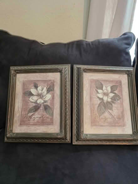 Photo of free Beautiful Magnolia Prints (Middletown Historic District) #1