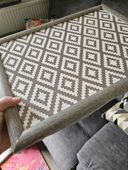 Photo of free Cushioned tray, sturdy (Cranfield) #1