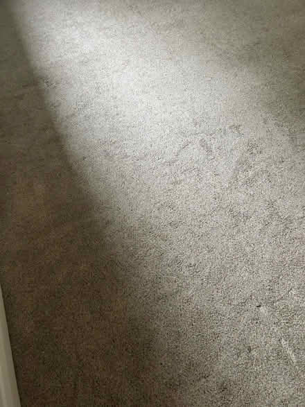 Photo of free Carpet (BL6. Bolton) #2