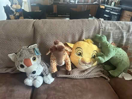 Photo of free Cuddly Toys (Artane) #1
