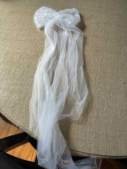 Photo of free Wedding decore/odds and ends (Charlottesville) #4