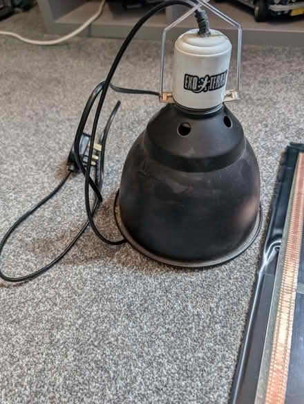 Photo of free Reptile heat mat, light dome and dish (The Highlands TN39) #3