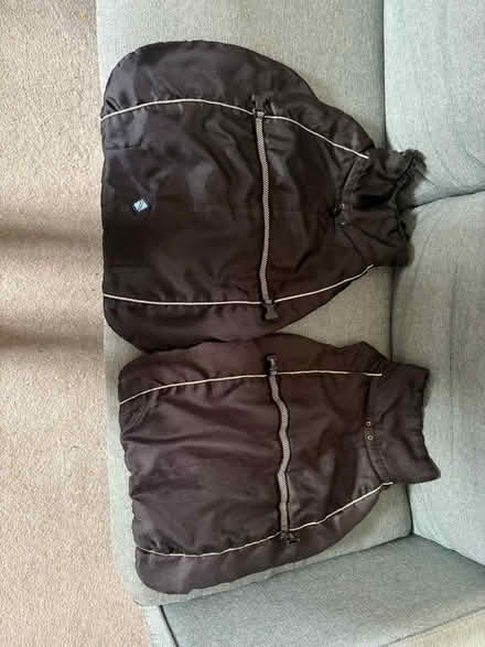 Photo of free 2 dog coats (AL3 St Albans) #1