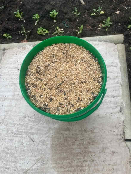 Photo of free Bird seed/food (MK14 - Stantonbury) #1