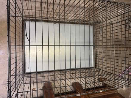 Photo of free Large dog crate (Bromley) #3