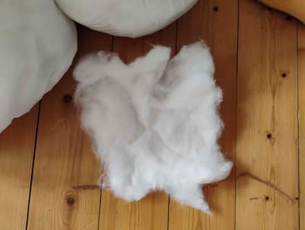 Photo of free Bamboo fibre stuffing (Seafield EH7) #2