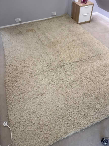 Photo of free Huge deep pile wool rug (W13) #1