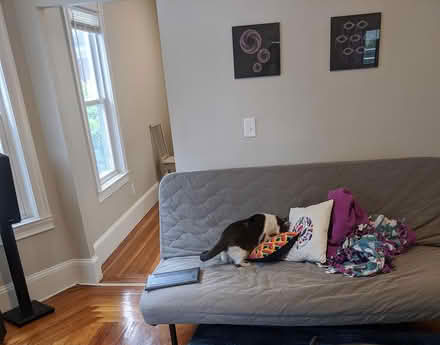 Photo of free Ikea futon (Davis Square Somerville) #1