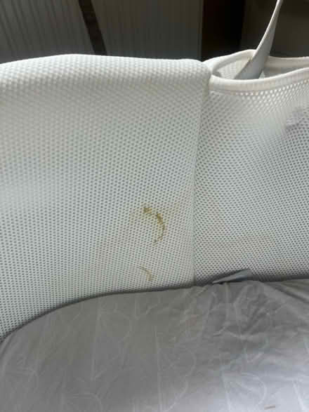 Photo of free Moses basket (BN2) #3
