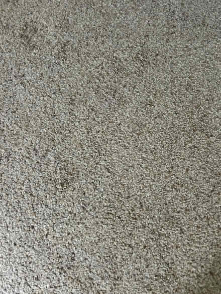Photo of free Carpet (BL6. Bolton) #1