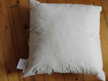 Photo of free Cushion pad (Seafield EH7) #1
