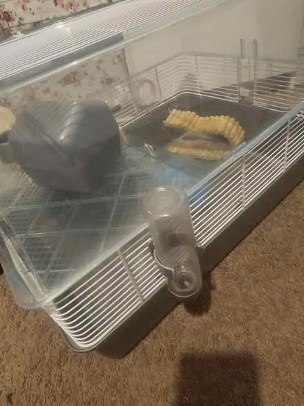 Photo of free Hamster cage (E1 Tower Hamlets) #4
