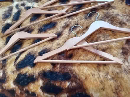 Photo of free Child/adult coat hangers (Maidenhead SL6) #2