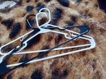 Photo of free Child/adult coat hangers (Maidenhead SL6) #3