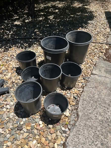 Photo of free Plastic Planting Pots (Bennett Valley) #1